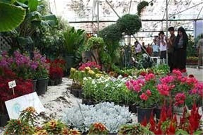 افتتاح نمایشگاه گل و گیاه و گیاهان دارویی در قزوین