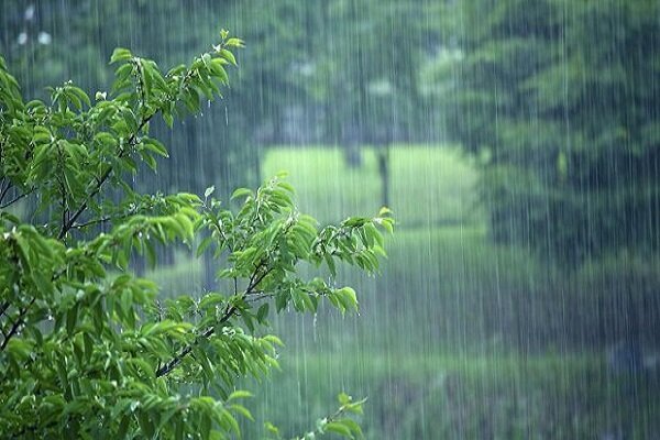 ثبت بارش ۱۱ میلی متری در زنجان /احتمال وقوع سیل