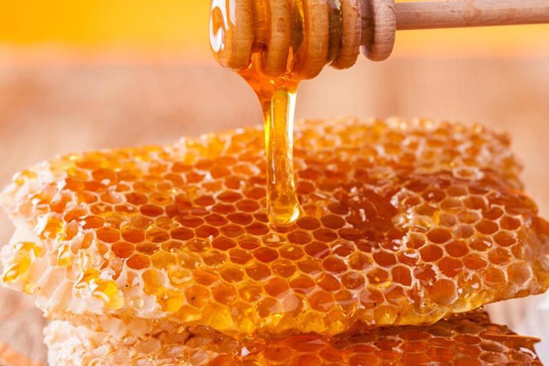 تولید بیش از ۲۰۰ تن عسل در مریوان