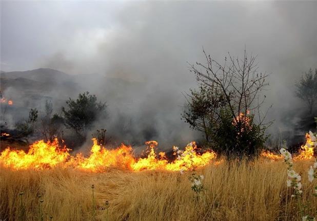 آتش سوزی مراتع با مدیریت دام کنترل می شود