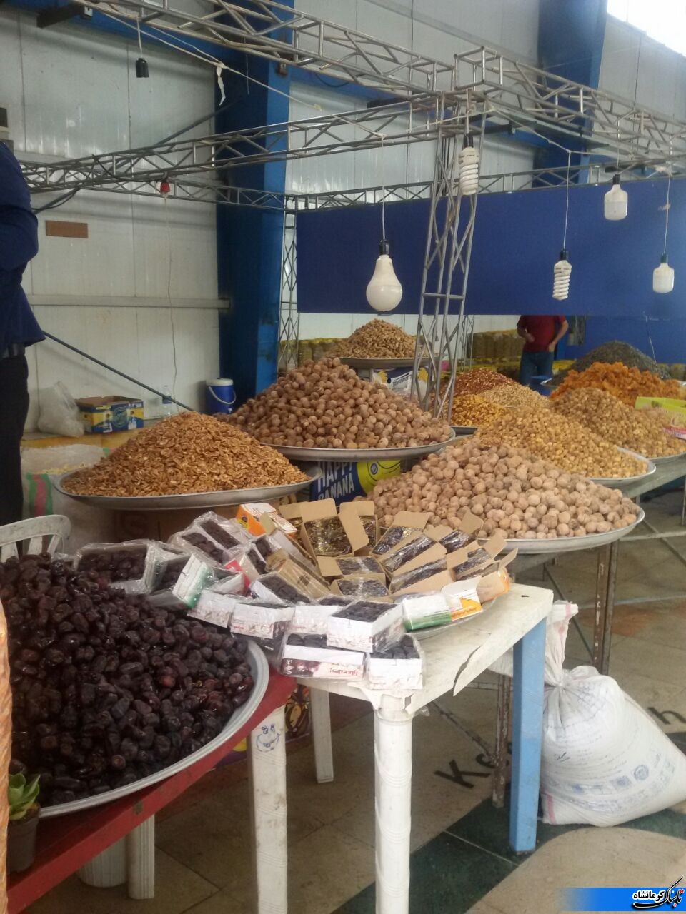 نمایشگاه گل و گیاه و سوغات افتتاح شد نمایشگاه گل و گیاه و سوغات افتتاح شد