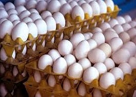 قیمت عرضه تخم&zwnj;مرغ درب مرغداری&zwnj;ها کیلویی ۱۲۰۰۰ تومان و برای مصرف&zwnj;کنندگان ۱۴۵۰۰ تومان