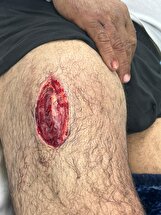 درگیری خونین در مسابقات کشتی فرنگی جوانان فارس؛ مربیان مقصر اصلی هستند