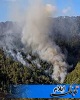 سه منطقه از اراضی طبیعی شهرستان ایوان  دچار آتش سوزی شده است