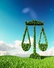 صدور یک حکم سبز برای متخلف زیست‌محیطی