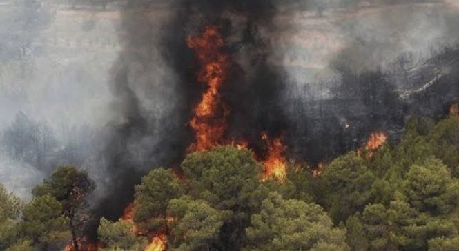 آتش&zwnj;سوزی در جنگل هیرکانی گسترش یافت/ اعزام هواپیمای اطفای حریق بعد از 19 روز!