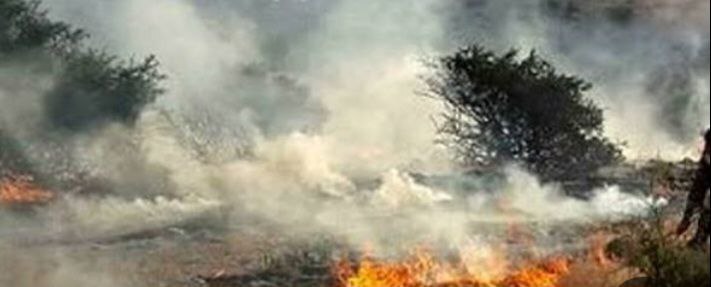 آتش&zwnj;سوزی در جنگل هیرکانی گسترش یافت/ اعزام هواپیمای اطفای حریق بعد از 19 روز!