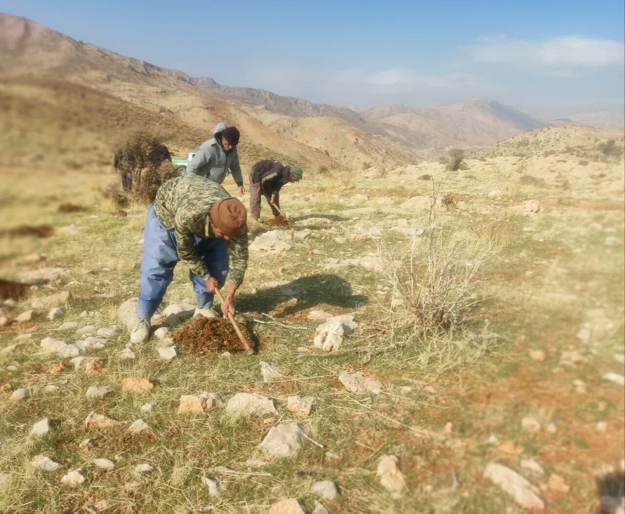 تزریق ۴۰۰ کیلوگرم بذر گیاهان دارویی و مرتعی به اراضی تخریب&zwnj;شده دهگلان