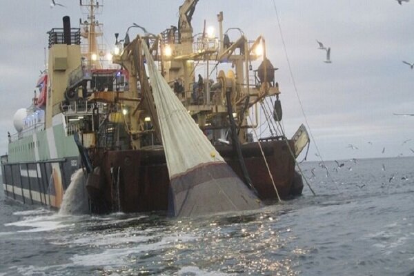 صیادان هرمزگان روی موجهای بیثباتی؛ وعدههای تکراری، معیشتِ معلق صیادان هرمزگان روی موجهای بیثباتی؛ وعدههای تکراری، معیشتِ معلق