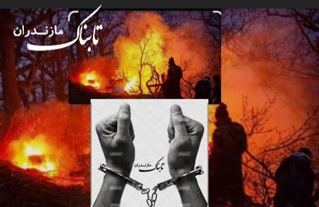 آتش&zwnj;افروز سودجو جنگل ھیرکانی بابل توسط نیروھای بسیج محلات دستگیر شد