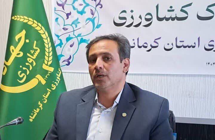 تشدید نظارت بر نانواییها با گشتهای مشترک در دستور کار است تشدید نظارت بر نانواییها با گشتهای مشترک در دستور کار است