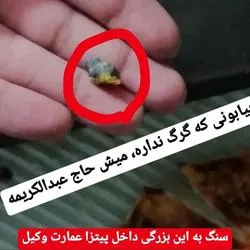 سنگ به این بزرگی داخل پیتزا عمارت وکیل !